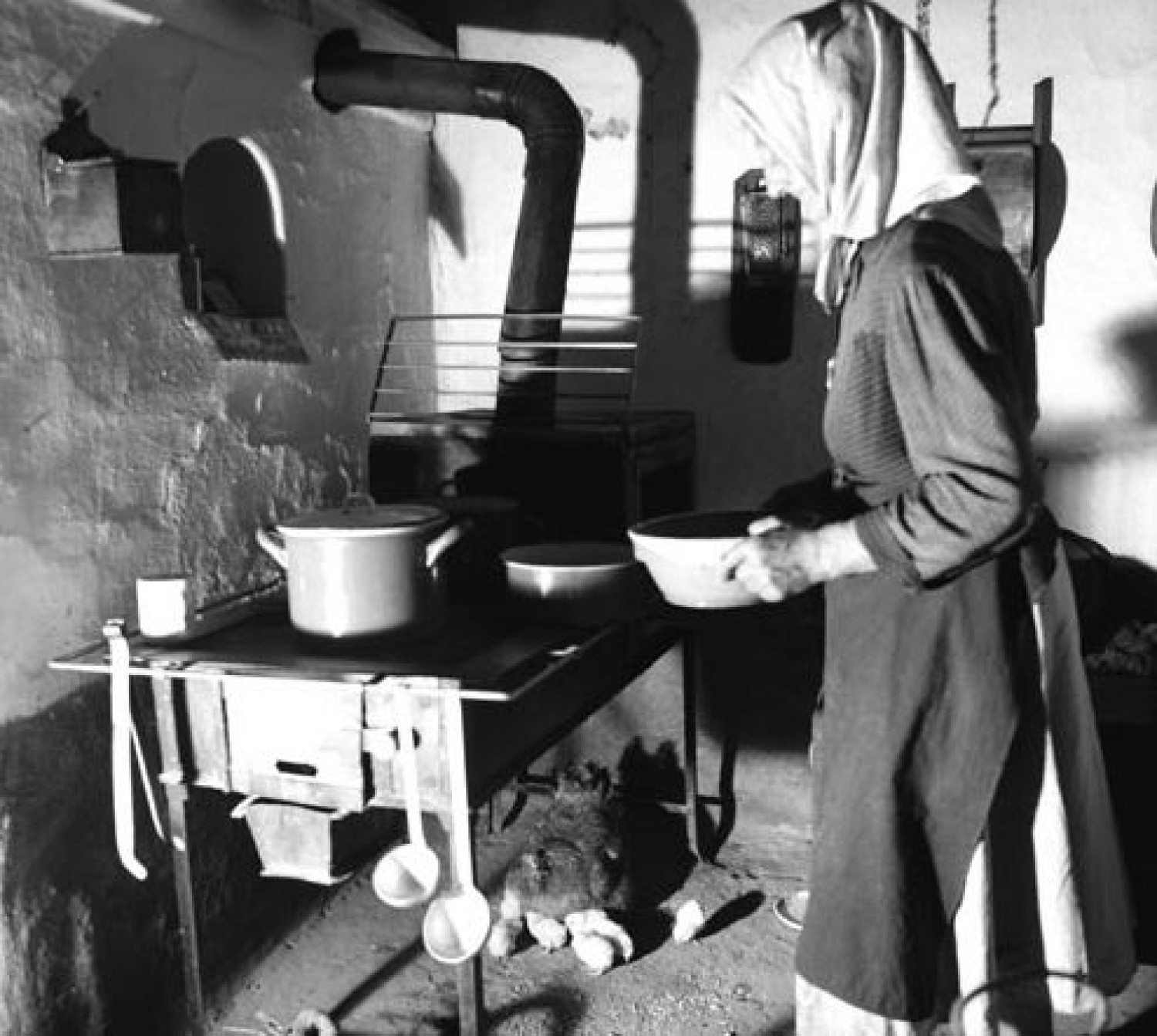 10 elfeledett szó! Hánynak tudod a jelentését?